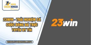 23win - Trải Nghiệm Cá Cược Bóng Đá Trực Tuyến Uy Tín