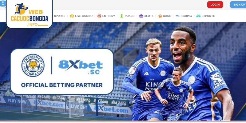 Giới thiệu đôi điều về nhà cái 8XBET