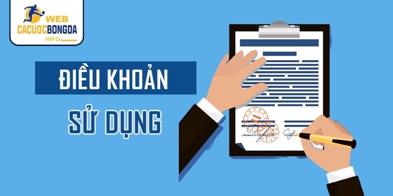 Điều khoản sử dụng trên WEB CÁ CƯỢC BÓNG ĐÁ cập nhật 2025
