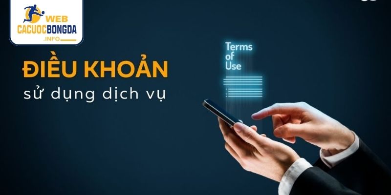 Điều khoản sử dụng web trong giải quyết tranh chấp