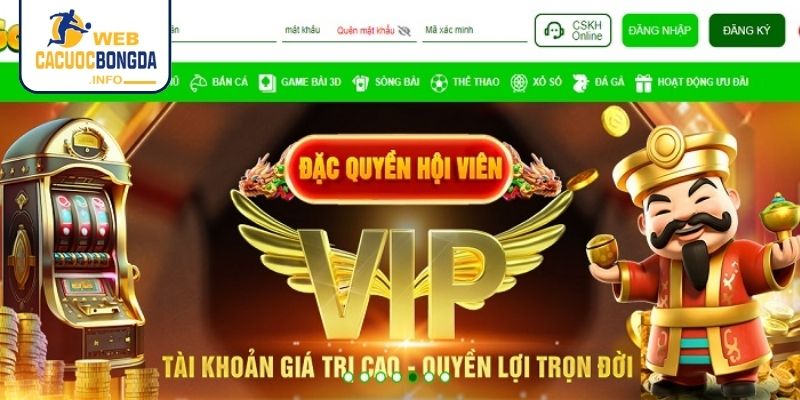 Tổng quan nền tảng cá cược bóng đá Good88