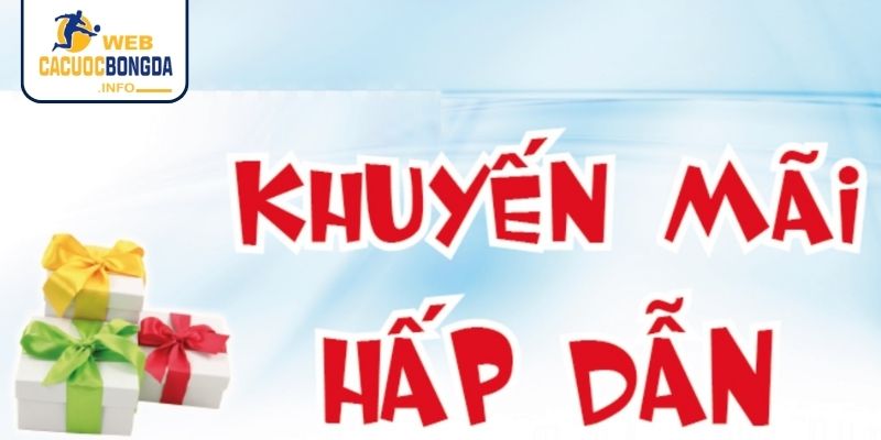 Mẹo nhận khuyến mãi WEB CÁ CƯỢC BÓNG ĐÁ