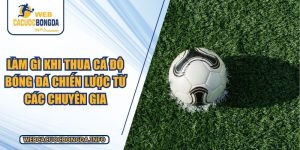 Làm Gì Khi Thua Cá Độ Bóng Đá Chiến Lược Từ Các Chuyên Gia