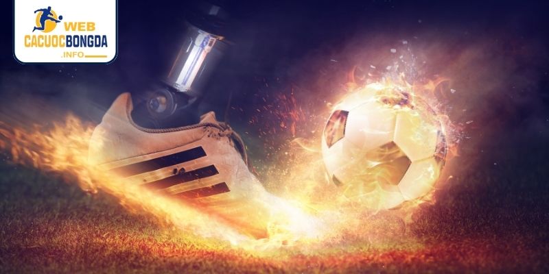 Làm gì khi thua cá độ bóng đá lời khuyên chuyên gia