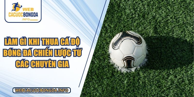 Làm Gì Khi Thua Cá Độ Bóng Đá Chiến Lược Từ Các Chuyên Gia