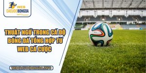 Thuật Ngữ Trong Cá Độ Bóng Đá Tổng Hợp Từ Web Cá Cược