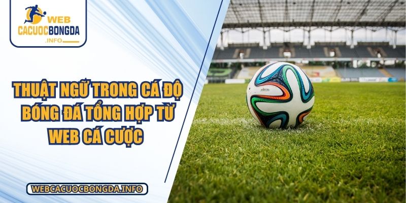 Thuật Ngữ Trong Cá Độ Bóng Đá Tổng Hợp Từ Web Cá Cược