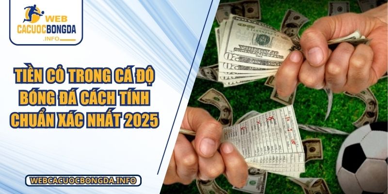 Tiền Cỏ Trong Cá Độ Bóng Đá Cách Tính Chuẩn Xác Nhất 2025