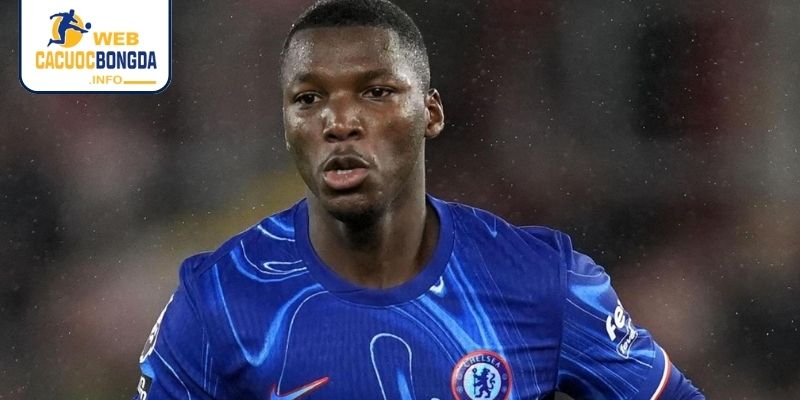 Tiền vệ phòng ngự hay nhất Moise Caicedo